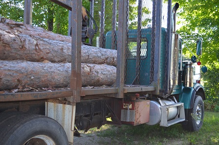 Freightliner TK Truck with Hood 7000 Log Crane