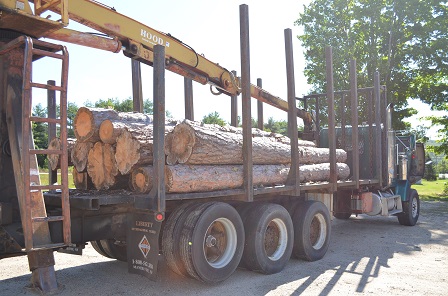 Freightliner TK with Hood 7000 Log Crane