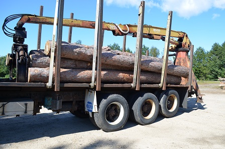 Hood 7000 Log Crane on Freightliner TK Truck